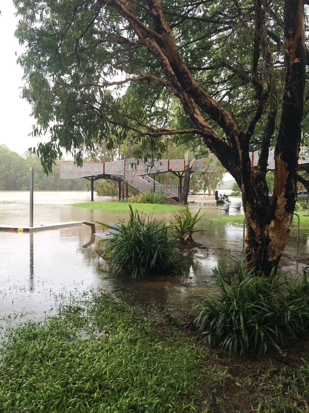 Ross River inundation at Apex Park after flood, Condon, 1 February 2019