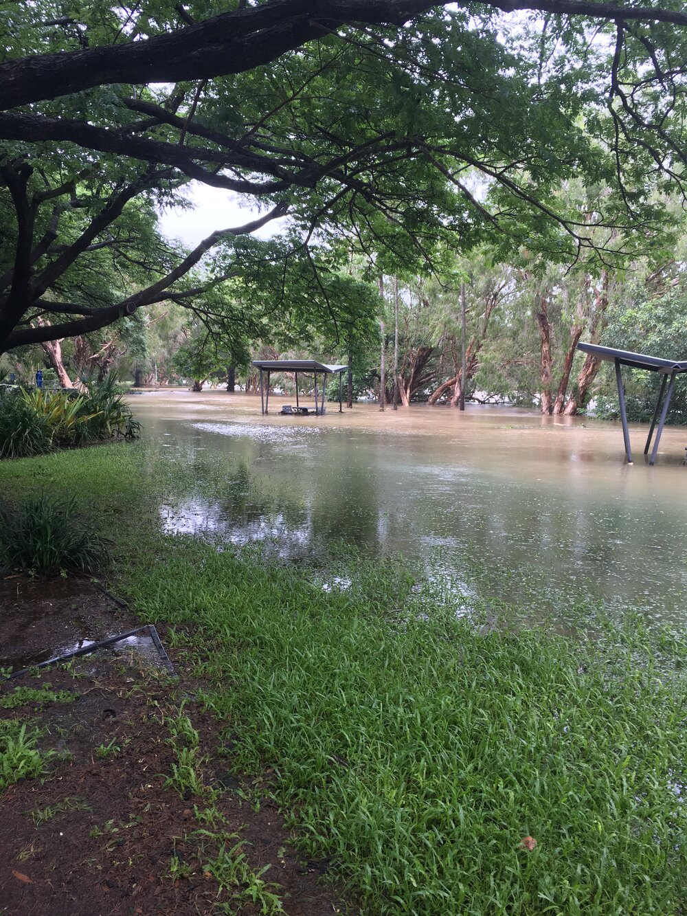 Ross River inundation at Apex Park after flood, 2019. 