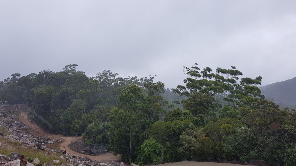 Rain falling over Paluma dam during the floods, 2019. 