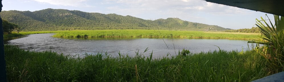 Marshland after the flood, Town Common, 2019. 