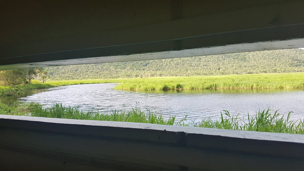 View from the bird hide, Town Common, 2019. 