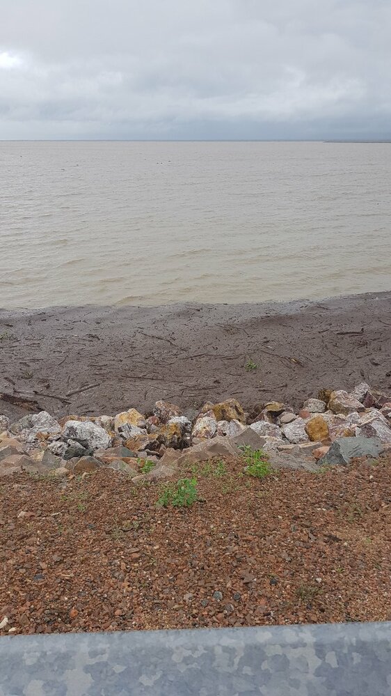 Townsville Dam water height, floating debris and rock wallaby, 2019