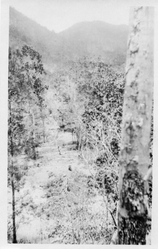 Site of the proposed dam, Black River, Townsville. 