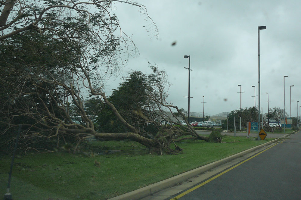 Uprooted trees at the airport in the aftermath of Cyclone Yasi, Townsville, 3 February 2011