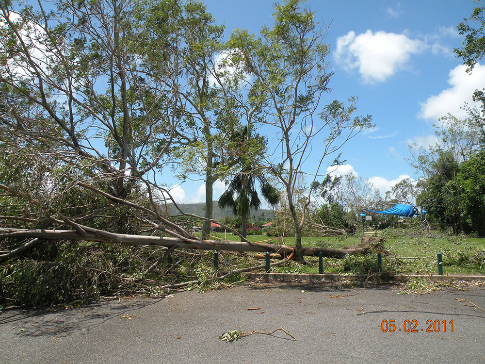 Fallen trees and damaged shade structure in the aftermath of Cyclone Yasi, Townsville, 5th February 2011