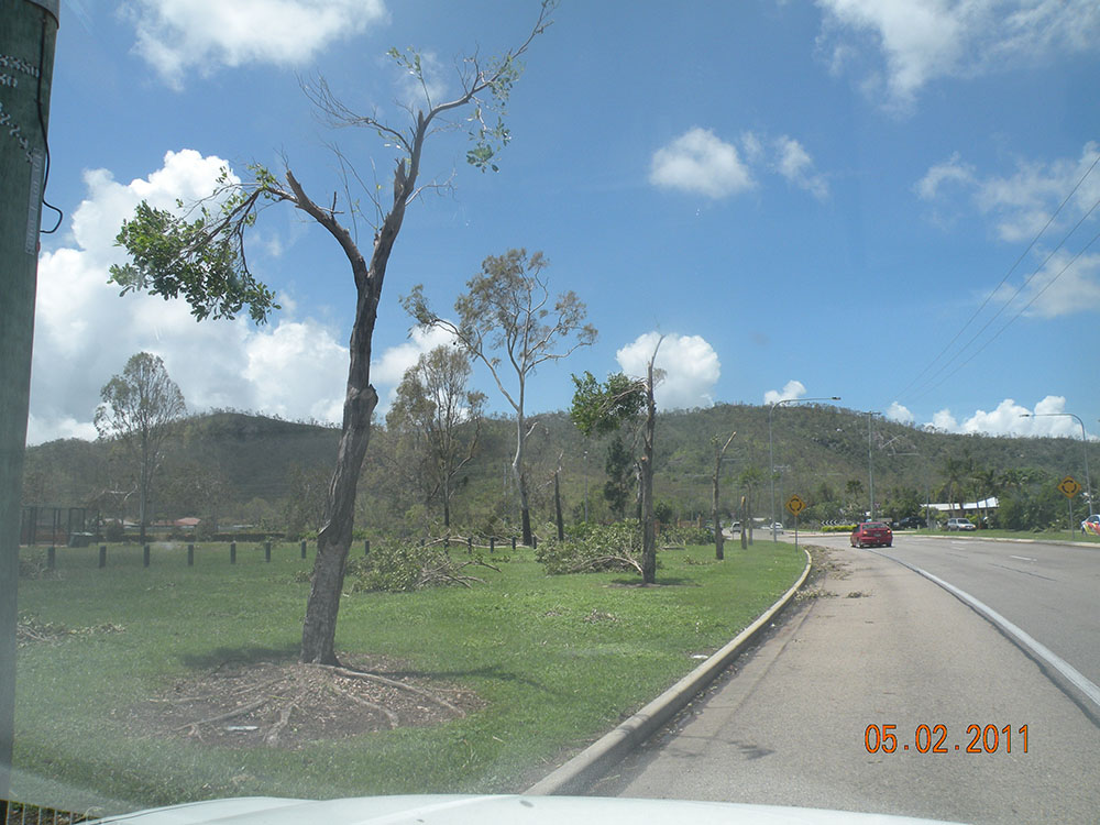 Damaged trees in the aftermath of Cyclone Yasi, Townsville, 5th February 2011