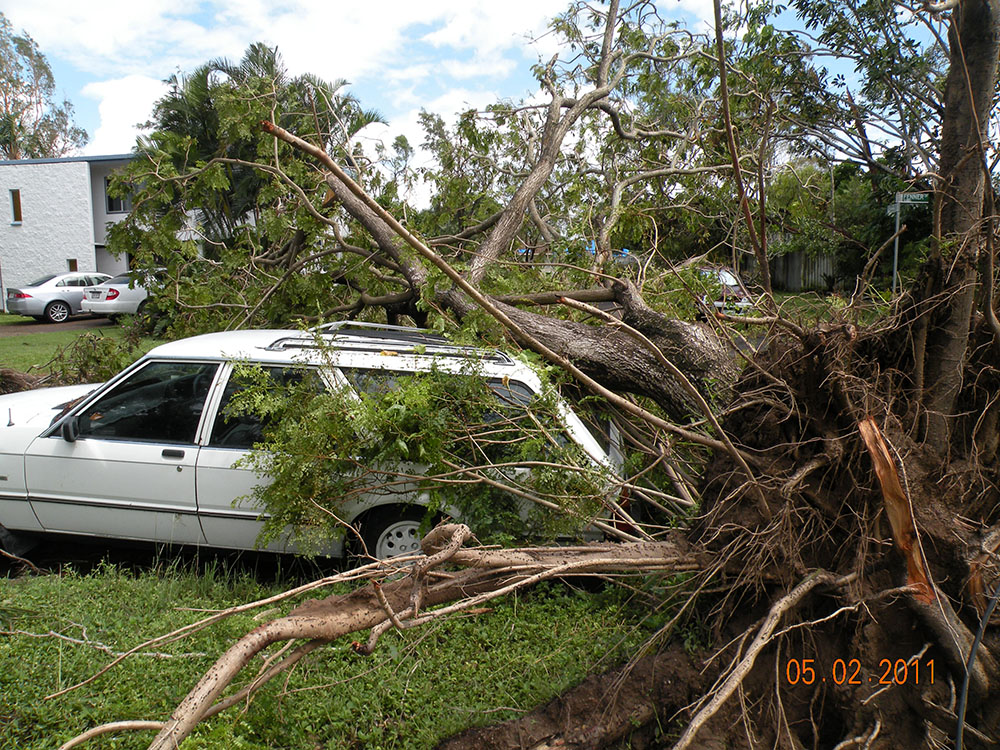 Car damaged by fallen tree in the aftermath of Cyclone Yasi, Townsville, 5th February 2011