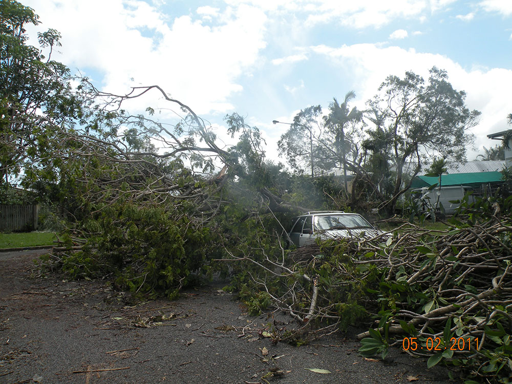 Car damaged by fallen tree in the aftermath of Cyclone Yasi, Townsville, 5th February 2011