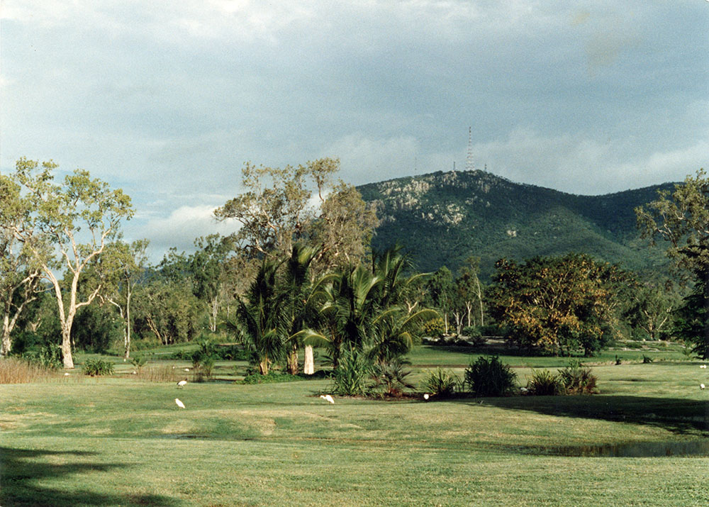 View of the Townsville palmetum / Townsville City Council staff