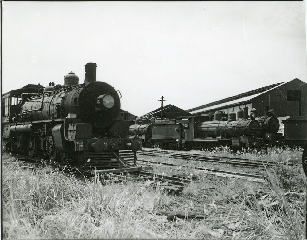Steam locomotives in the Railway yard, 15th January 1969