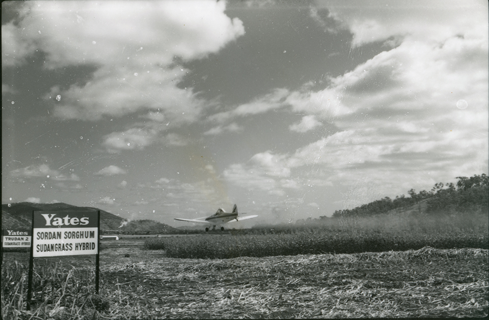 Crop dusting demonstration at the Field Day at the Stuart Prison Farm, 25 May 1972