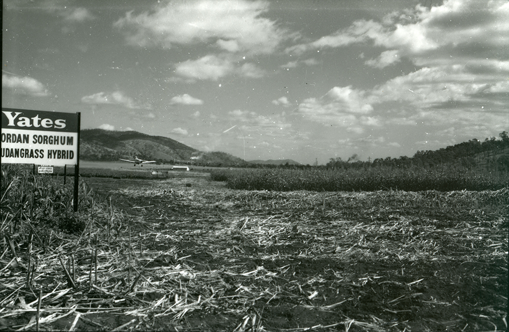 Crop dusting demonstration at the Field Day at the Stuart Prison Farm, 25 May 1972