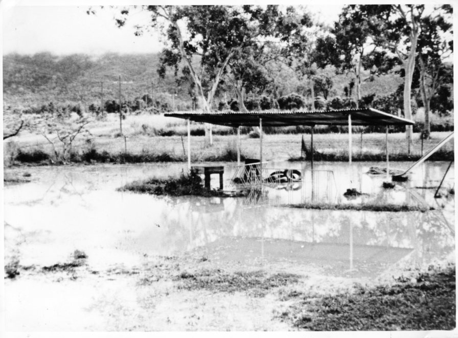 [The grounds of the Majors Creek State School during the wet season, 1977]. 