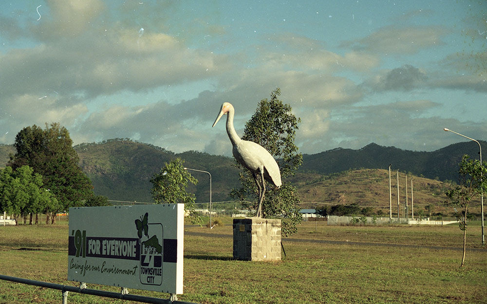 Townsville's brolga, Stuart Drive, Idalia, 1991