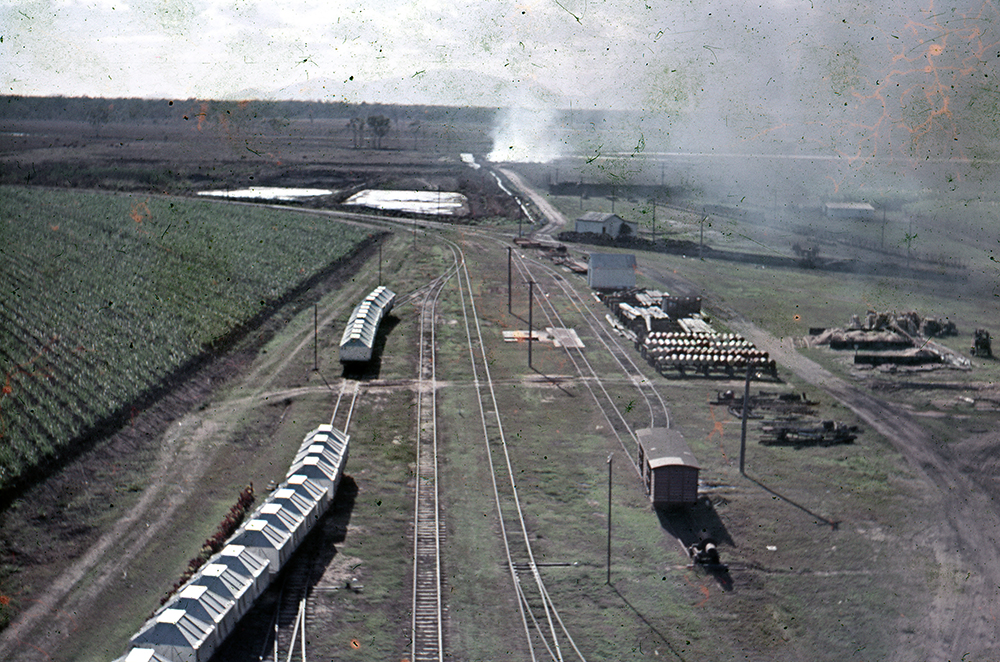 Freeman collection : Sugarcane crop and rail facilities near Ayr, North Queensland, 1961
