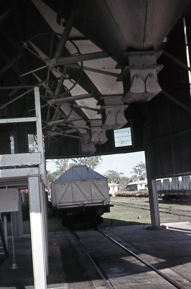 Freeman collection : Cane train at Ayr sugar mill, North Queensland, 1961