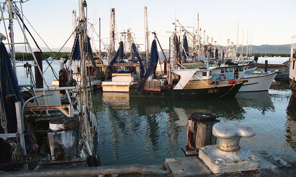 Prawn trawlers, South Townsville, 1991