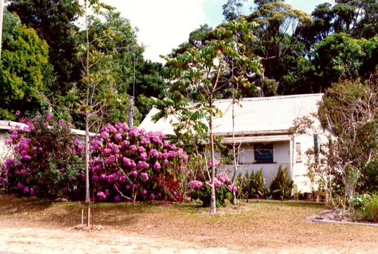 Thuringowa, a cottage at Paluma, 1990 