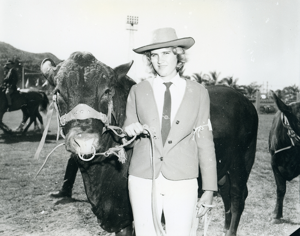 A bull in the centre ring at the Townsville Show, 6.7.1966