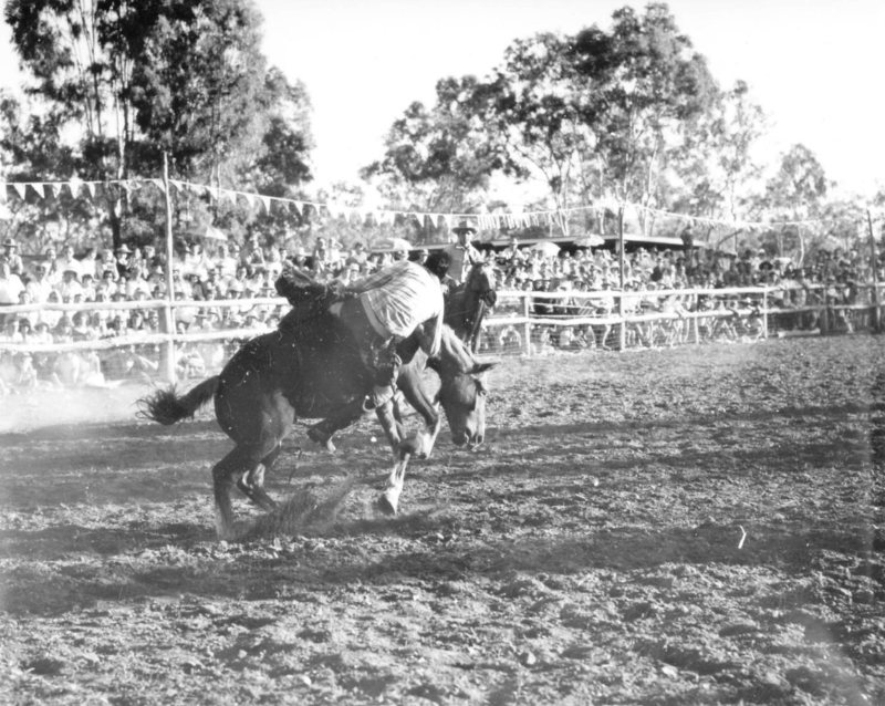H.5.U. Rodeo, Upper Ross, Townsville, 1966 