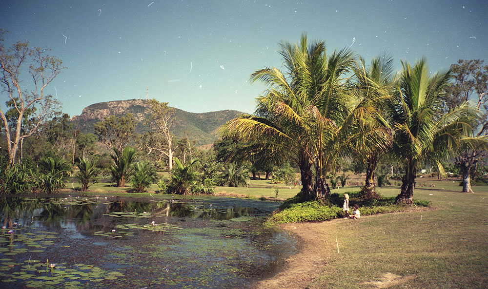 The Palmetum, University Road, Townsville, 1991