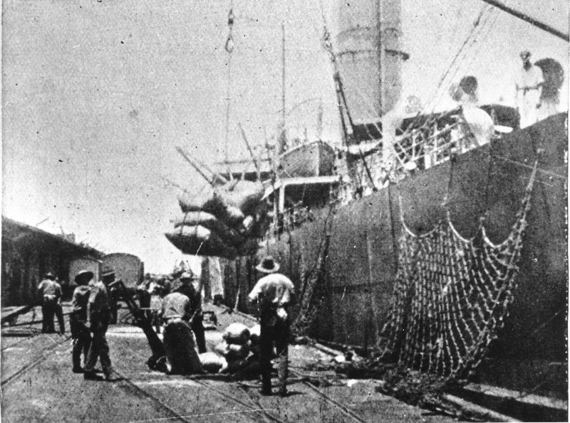 Loading sugar, Jetty wharf, Townsville, 1924. 