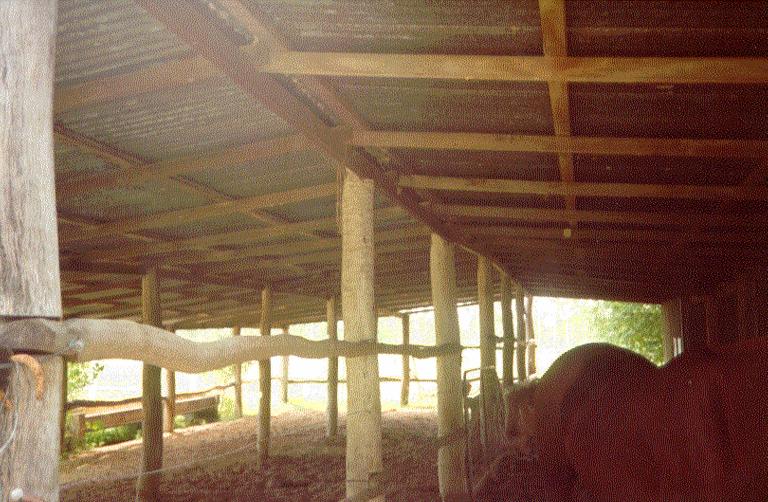 Purono Park, stables at 'Springvale' property, April 1997