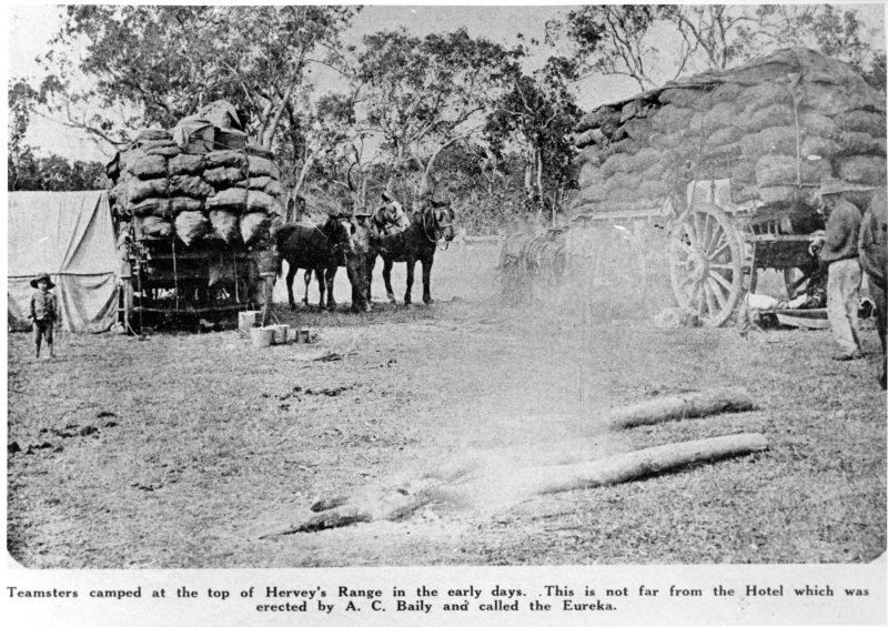 Teamsters camped at the top of Hervey's Range, Townsville, in the early days. 