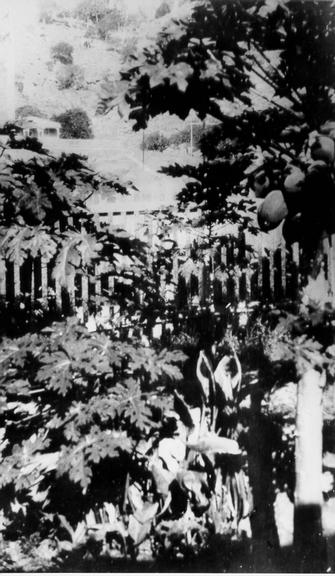 Townsville, Garden, ca 1920 
