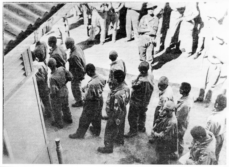 First Japanese prisoners of war arriving in Townsville from New Guinea, 1942 