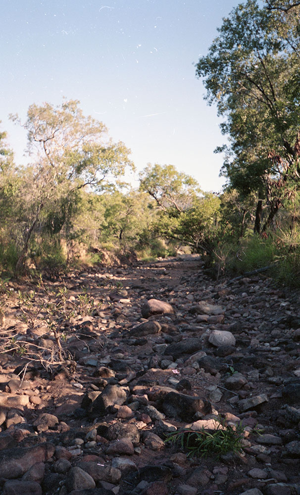 Bushland around Mount Stuart, Townsville, 1991