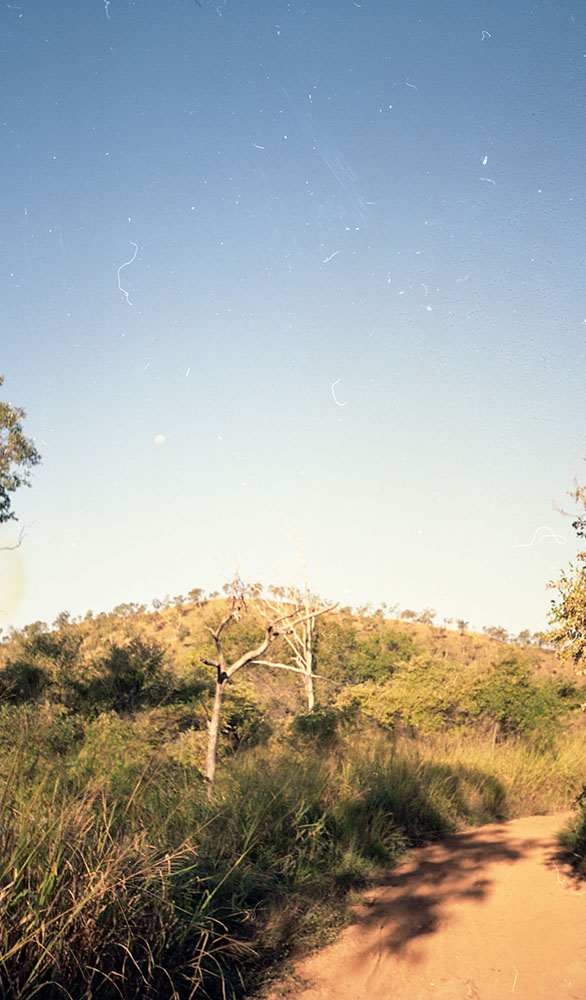 Bushland around Mount Stuart, Townsville, 1991
