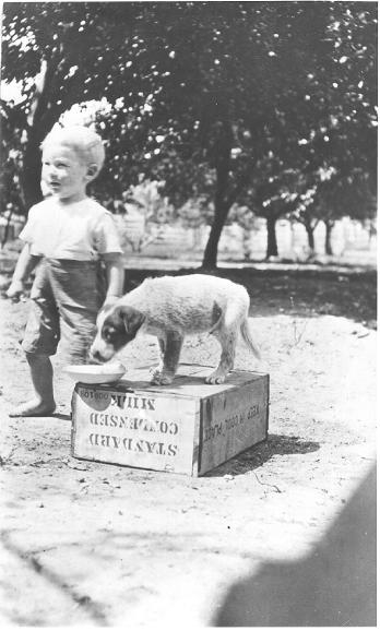 Ernie Kelso with dog, Laudham Park, ca 1918