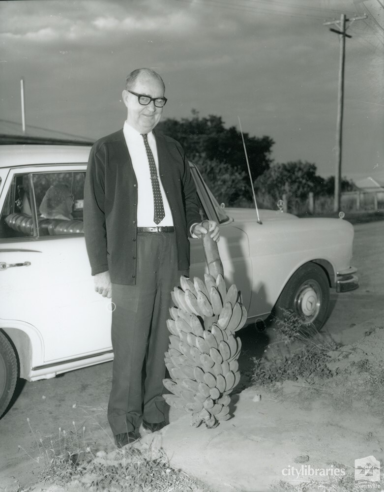 The Mayor, Alderman Harold Phillips displays a bunch of bananas grown at Mt Spec, Townsville, 8th September, 1968
