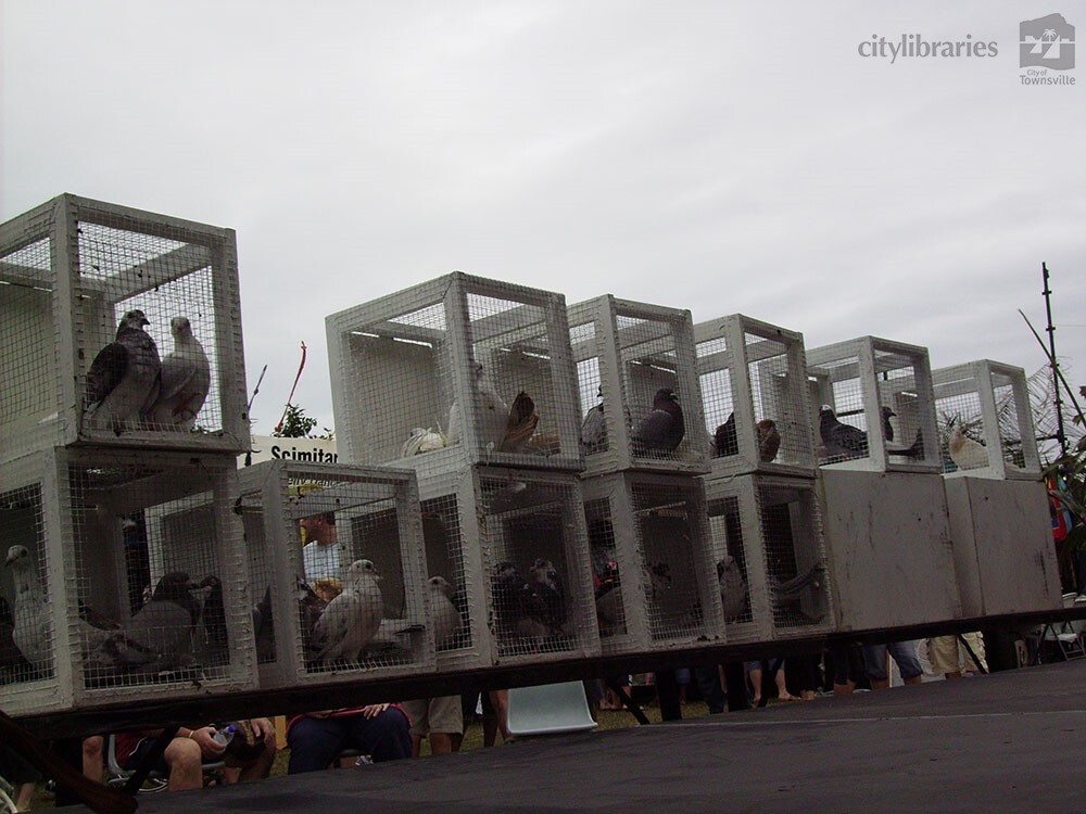Pigeons ready for release at Cultural Fest, Strand Park, Townsville, 19 August 2007