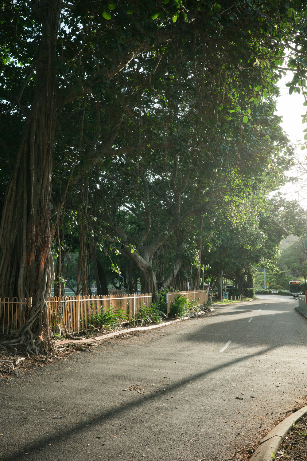 Pacific Drive, Horseshoe Bay, Townsville, 4 April 2024