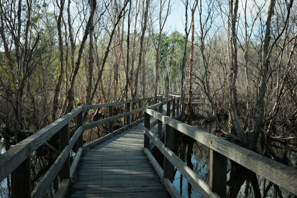 Horseshoe Bay Lagoon Conservation Park, Horseshoe Bay, Townsville, 4 April 2024