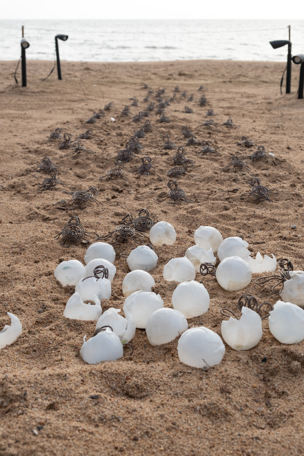 Art display at Ephemera 2025, the Strand, Townsville, 25 July 2025
