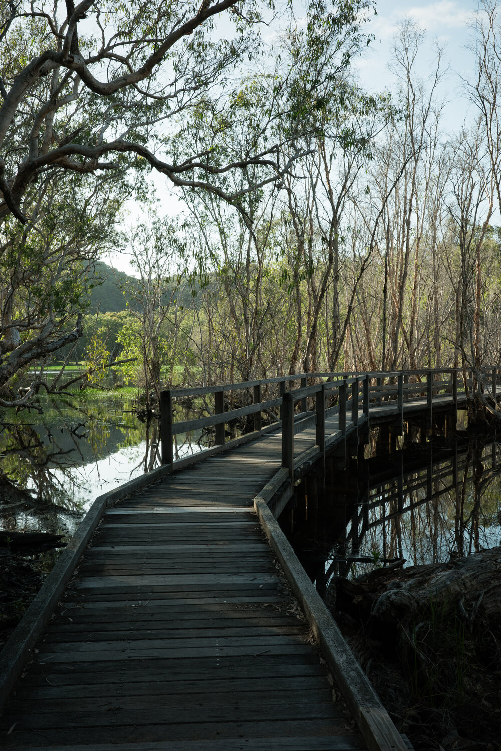 Horseshoe Bay Lagoon Conservation Park, Horseshoe Bay, Townsville, 4 April 2024
