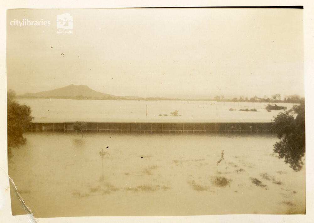 Stables at the back of the grandstand, Cluden Racecourse, during flood, Townsville [10 February 1946]