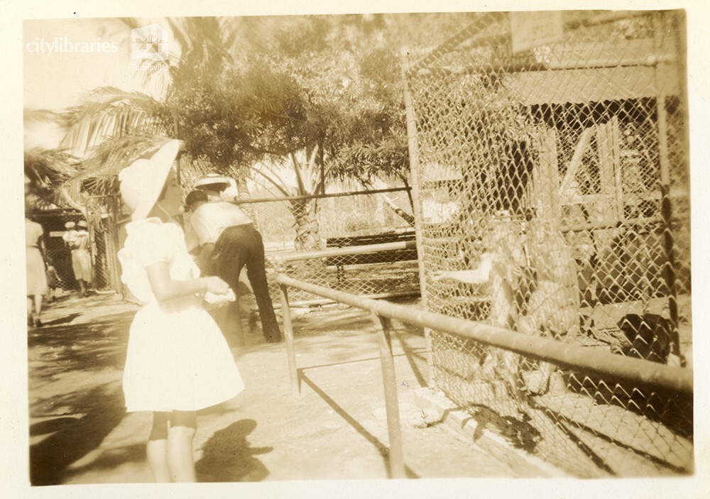 Mount St John Zoo, Townsville, 1946