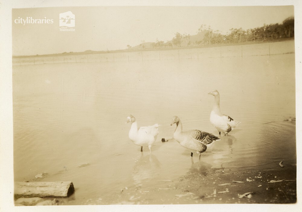 Mount St John Zoo, Townsville, 1 May 1946