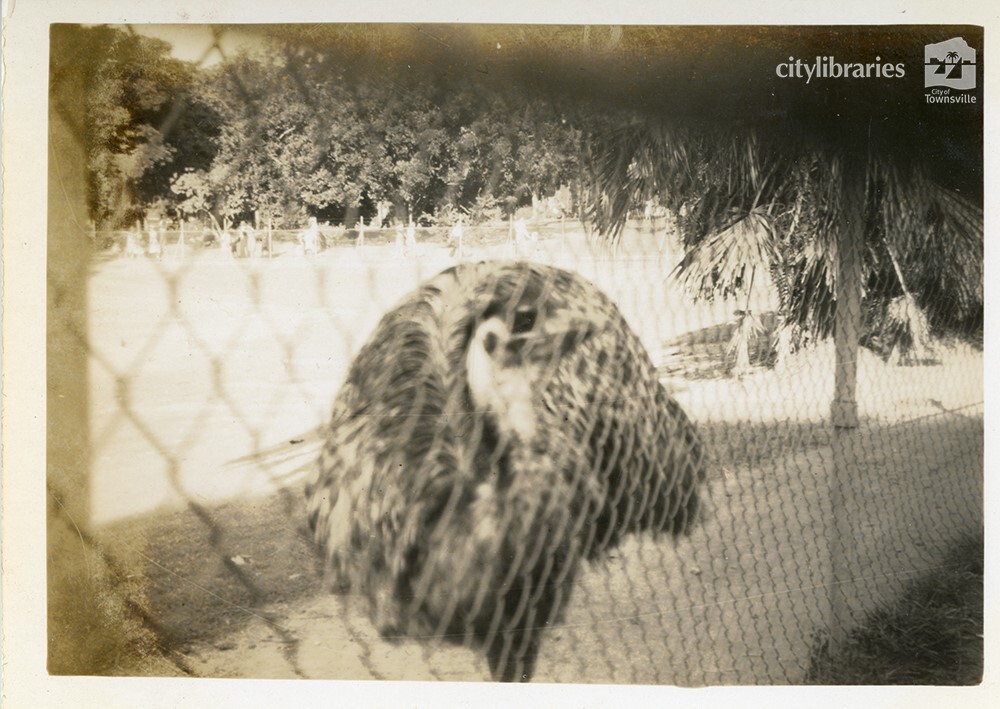 Emu, Brisbane, 1946
