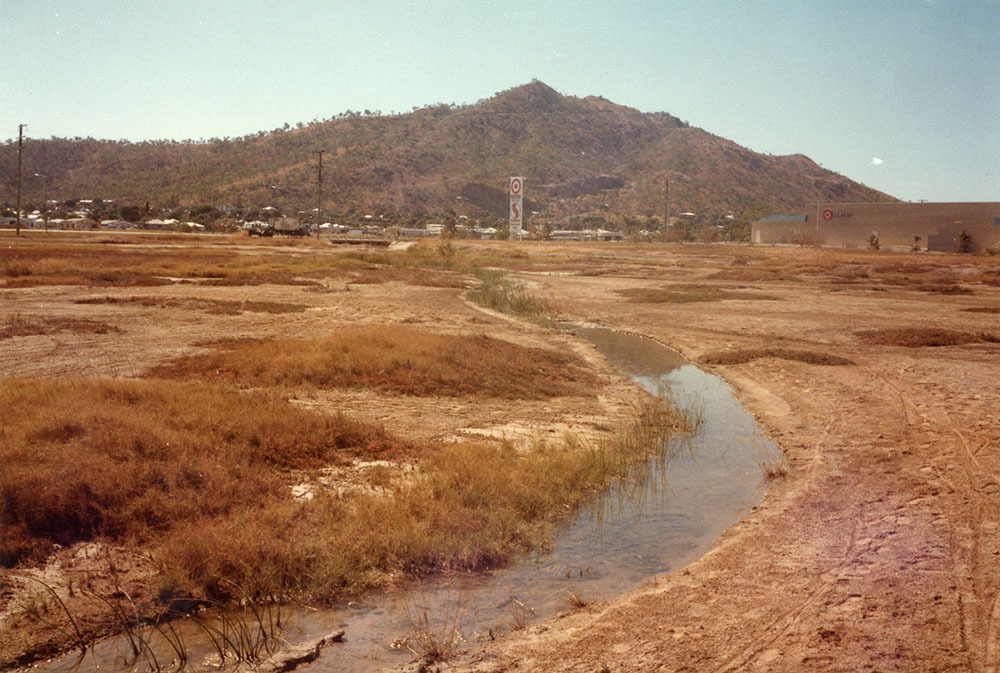 Unlined informal drain in proposed lake development area south of Woolcock Street, Townsville, 1984