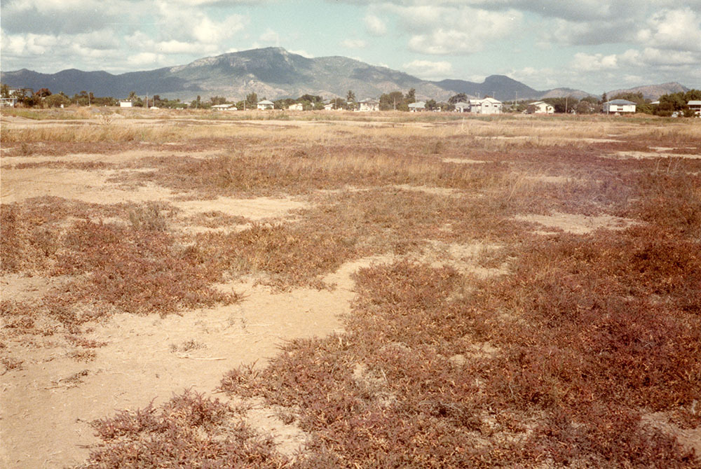 Proposed lake development area south of Woolcock Street, Townsville, 1984