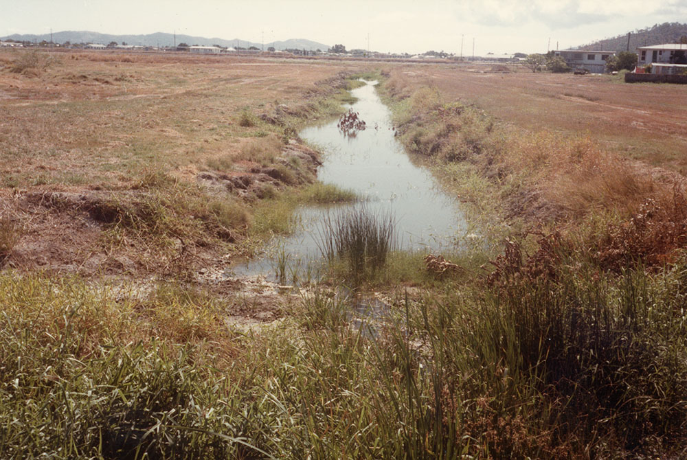Proposed lake development area south of Woolcock Street viewed from Bayswater Road, Townsville, 1984