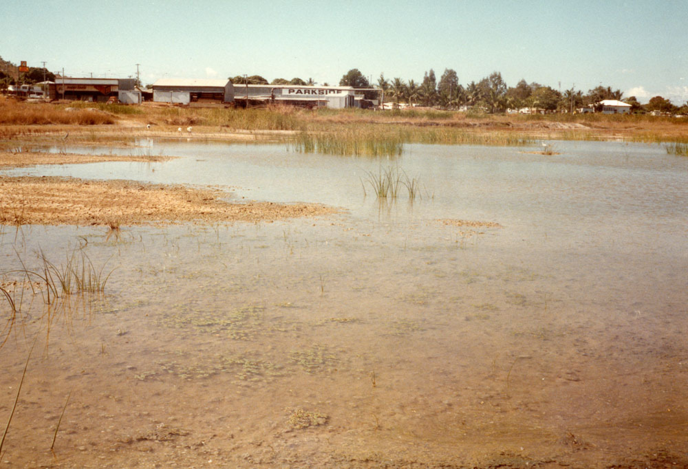 North east corner of proposed lake development area, Townsville, 1984