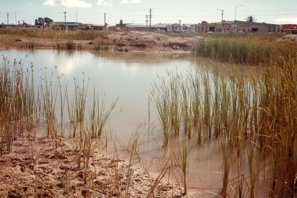 Low lying area near north boundary of proposed north lake development area, Townsville, 1984