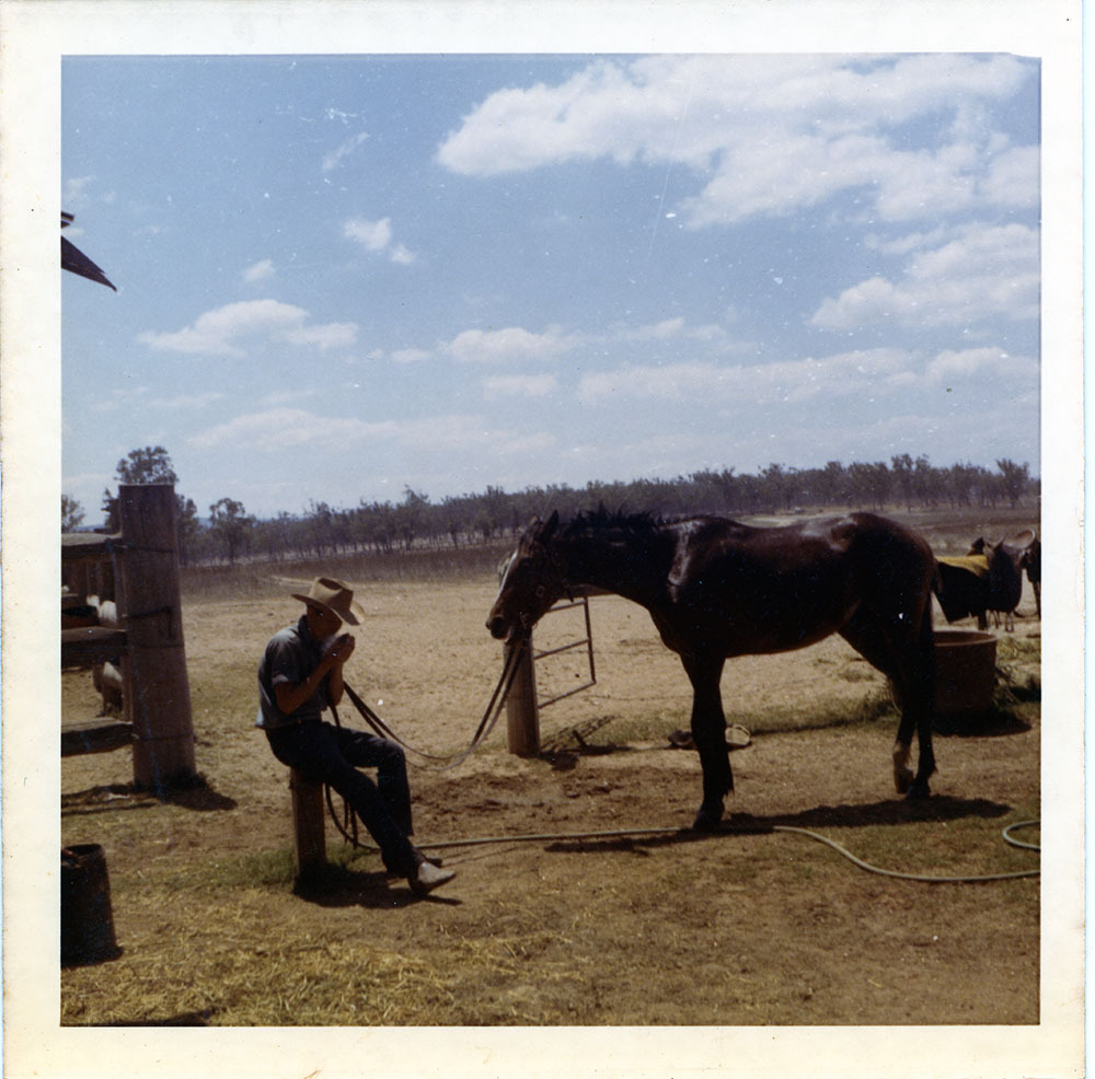 Worker and horse, Dotswood Station, ca. 1965