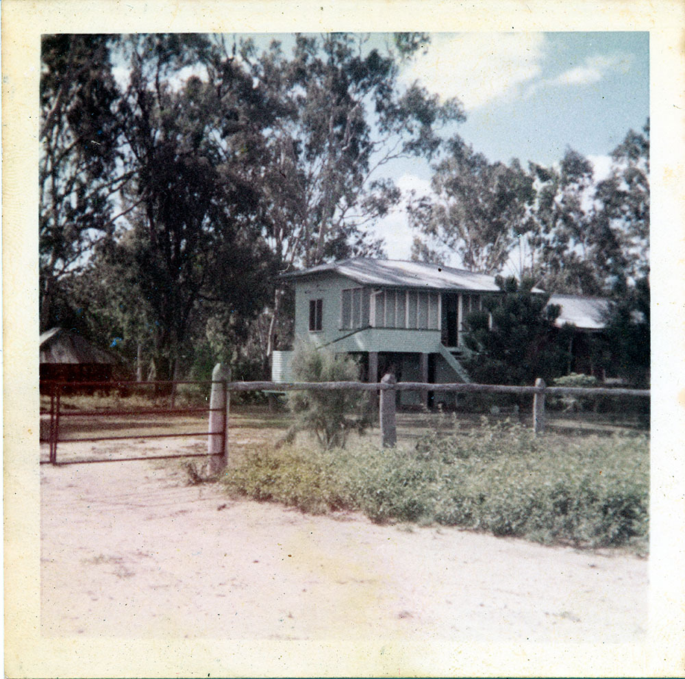 Homestead outbuilding, Dotswood Station, ca. 1965
